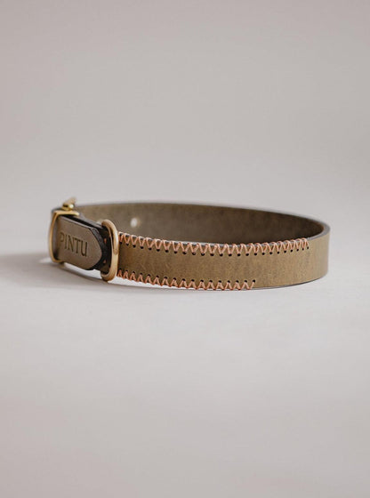 Dog Collar Porthos - Olive/Coral - Pintu