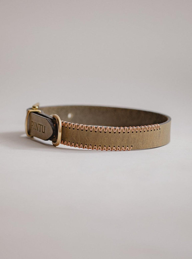 Dog Collar Porthos - Olive/Coral - Pintu