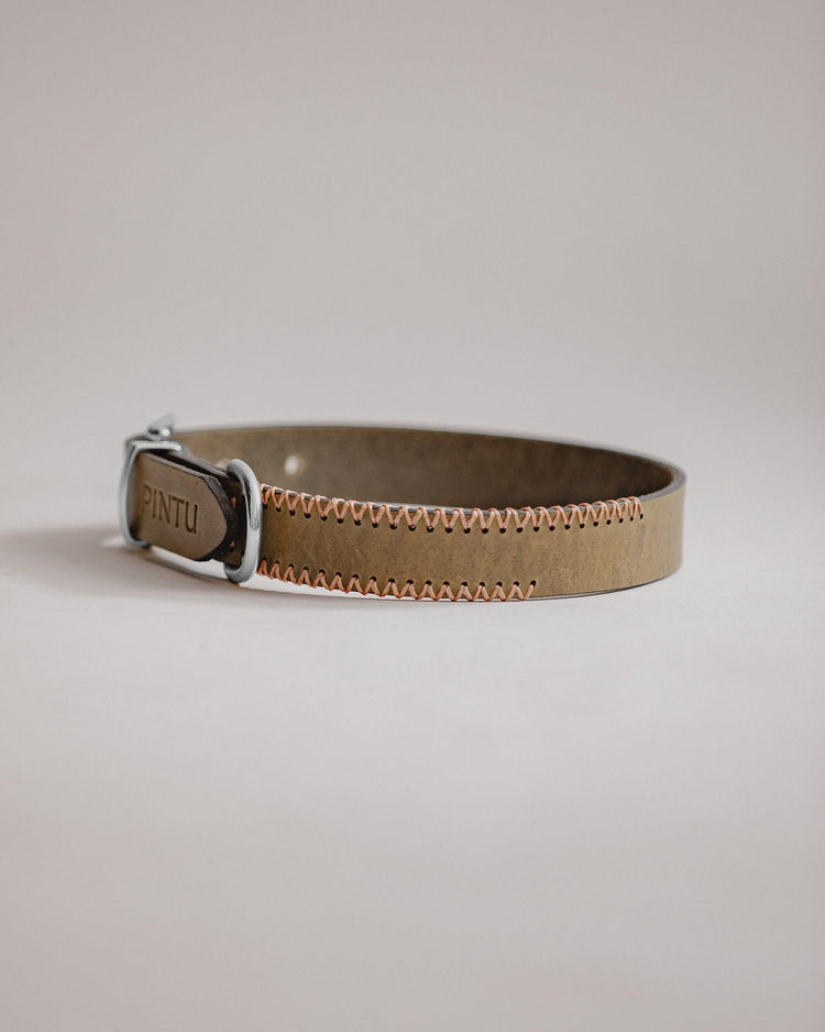 Dog Collar Porthos - Olive/Coral - Pintu