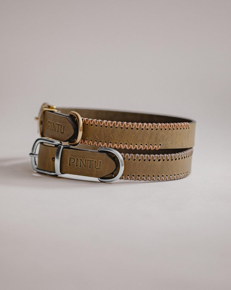 Dog Collar Porthos - Olive - Pintu