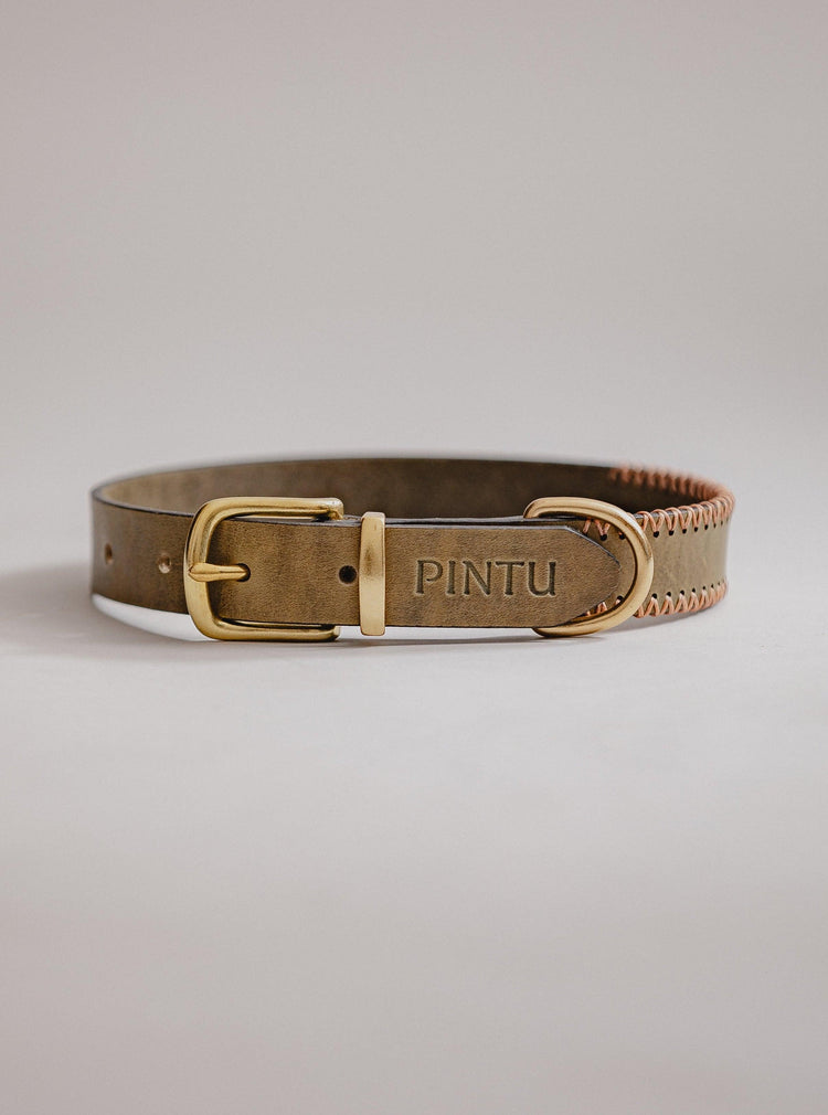 Dog Collar Porthos - Olive/Coral - Pintu