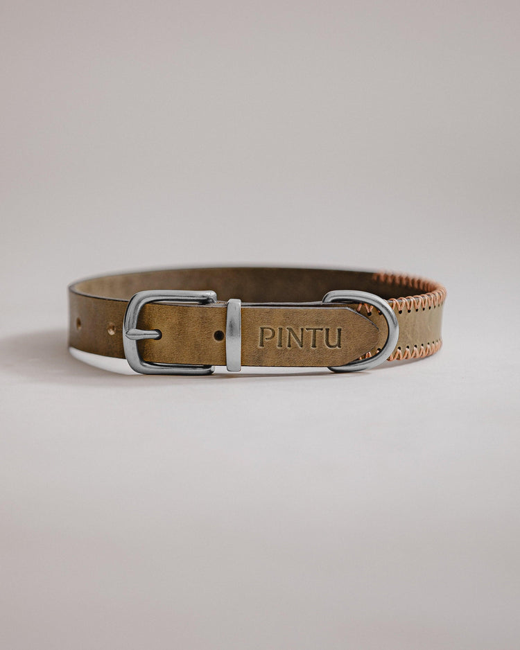 Dog Collar Porthos - Olive/Coral - Pintu
