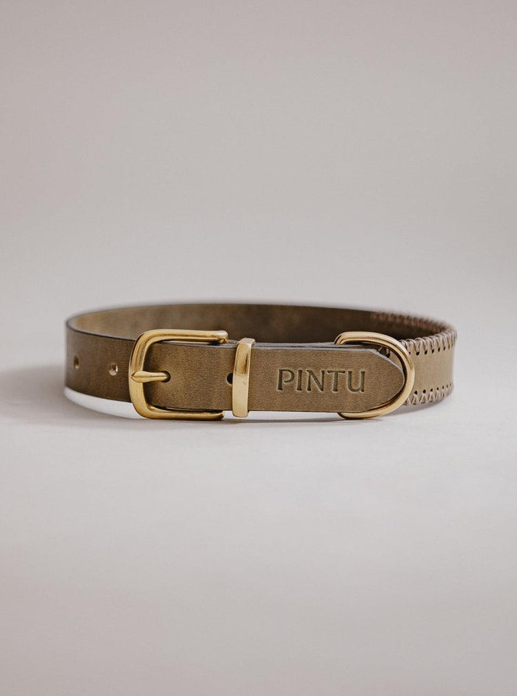Dog Collar Porthos - Olive/Taupe - Pintu