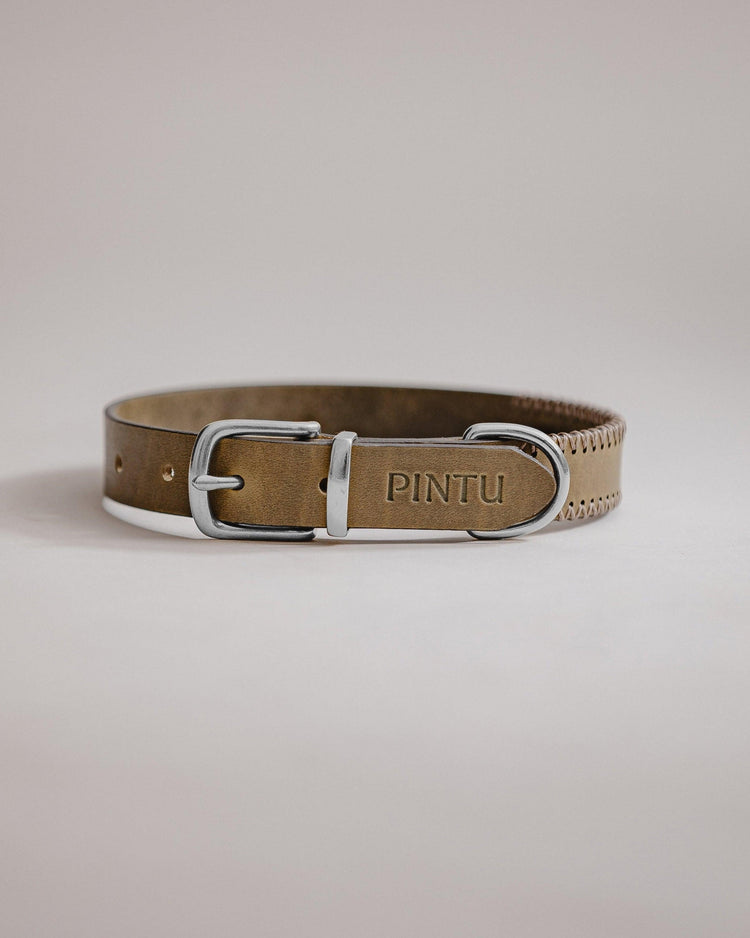 Dog Collar Porthos - Olive/Taupe - Pintu