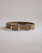 Dog Collar Porthos - Olive/Taupe - Pintu