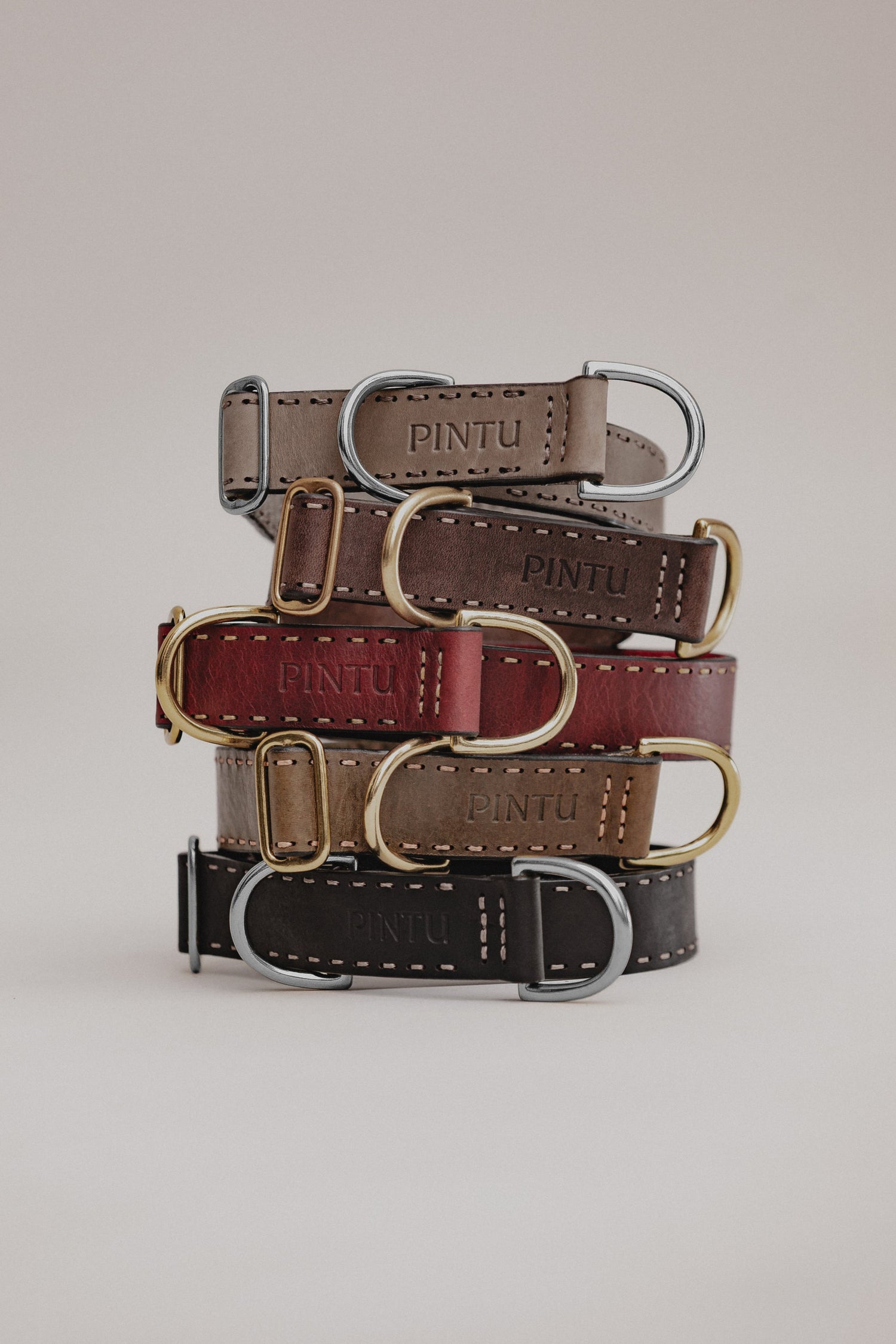 Dog Collar Bosque - Pintu