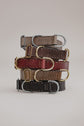 Dog Collar Bosque - Pintu