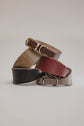 Dog Collar Viento - Pintu