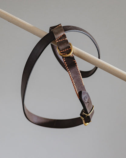 Dog Harness Flynn - Chocolate/Orange - Archive - Pintu