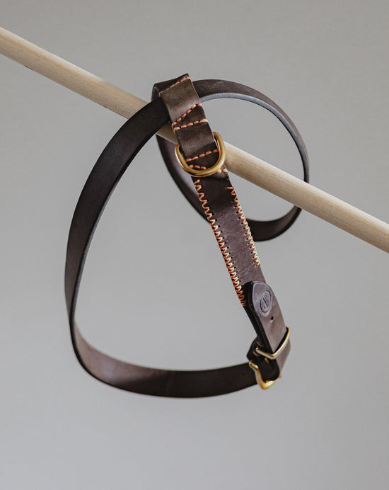 Dog Harness Flynn - Chocolate/Orange - Archive - Pintu