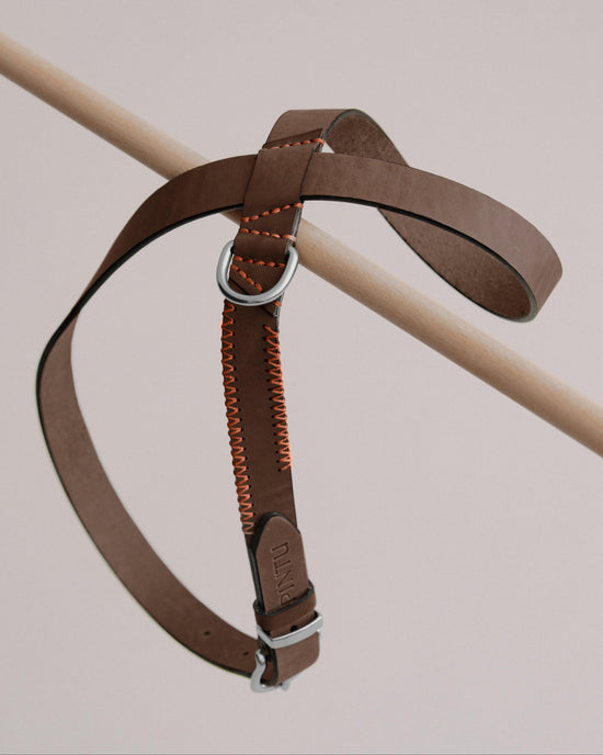 Dog Harness Flynn - Chocolate/Orange - Pintu
