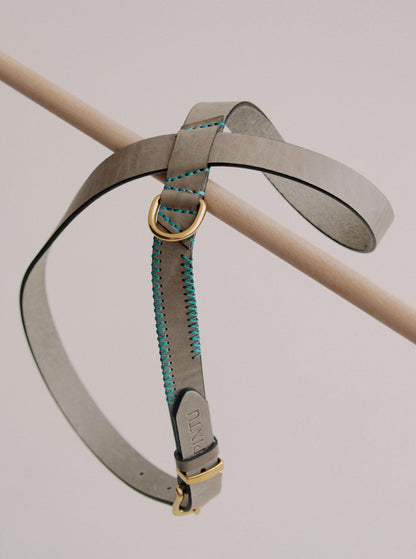 Dog Harness Flynn - Grey/Turquoise - Pintu