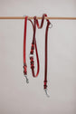Dog Leash Lumas Adjustable - Cherry/Pink - Pintu