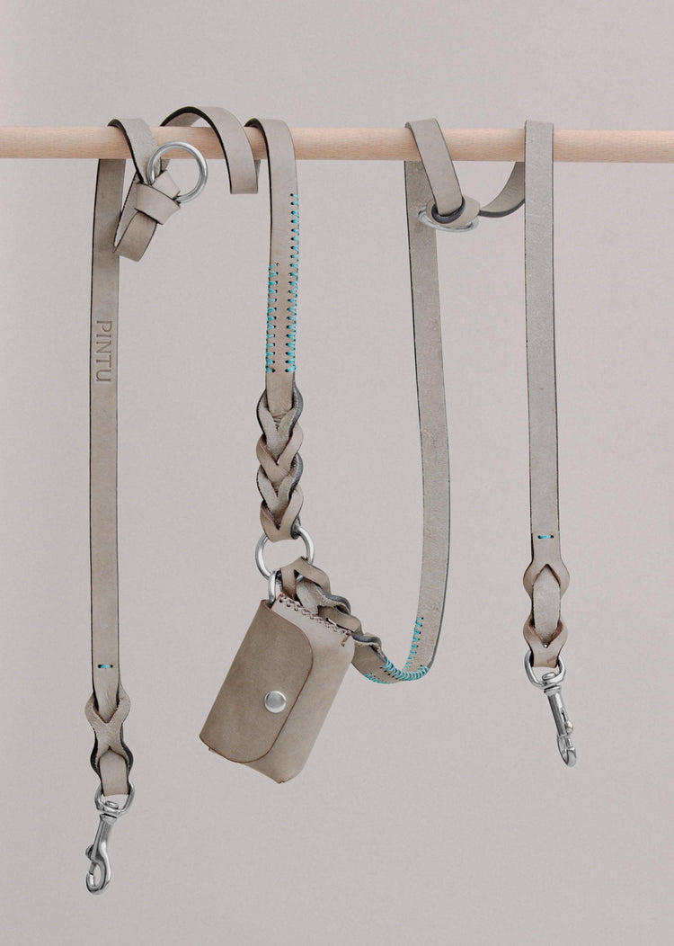 Dog Leash Lumas Adjustable - Grey/Turquoise - Pintu