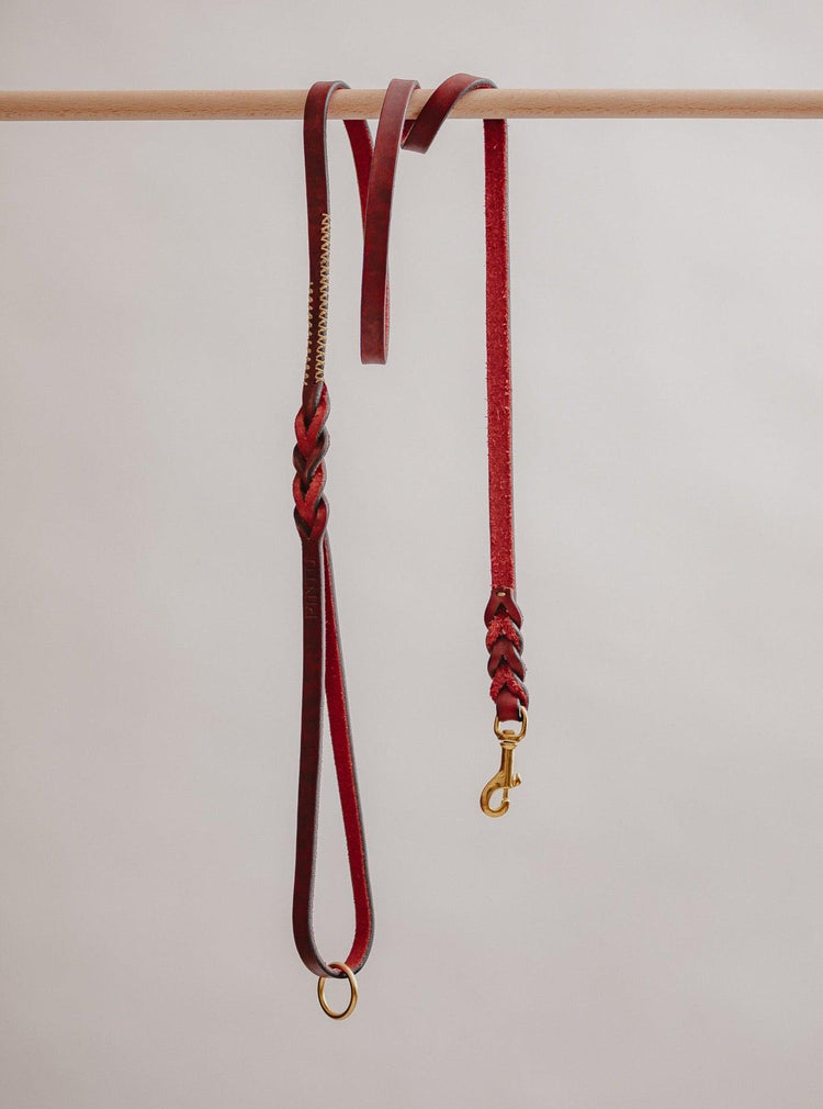 Dog Leash Lumas - Cherry/Gold - Pintu