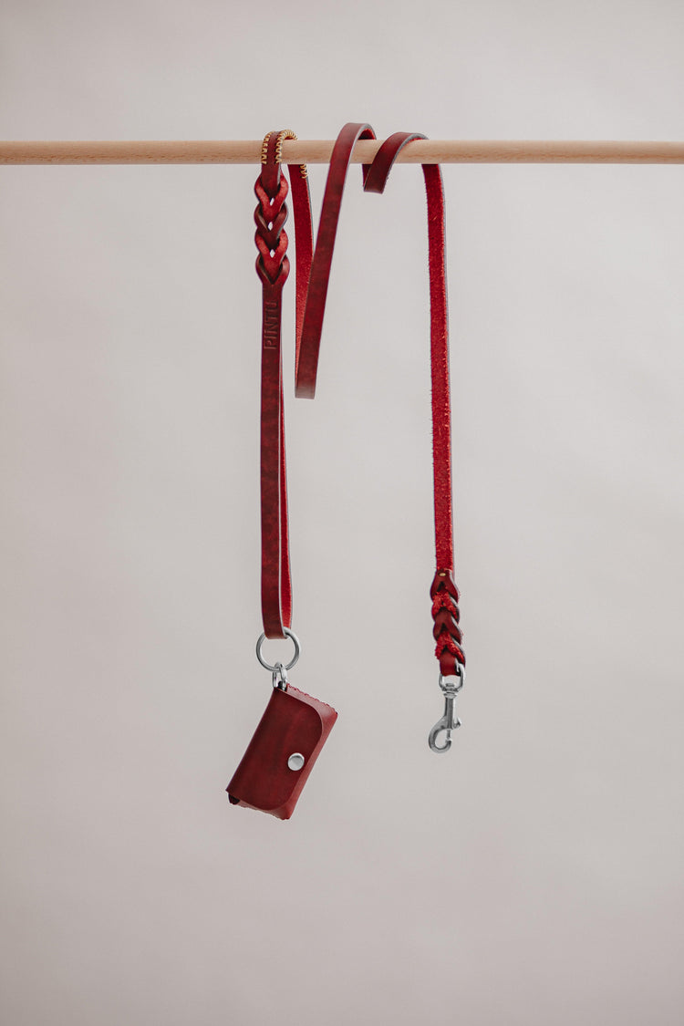 Dog Leash Lumas - Cherry/Gold - Pintu