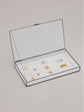 Pintu Dog Tag