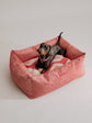 Pintu Dulce Suenos Bed - Berry