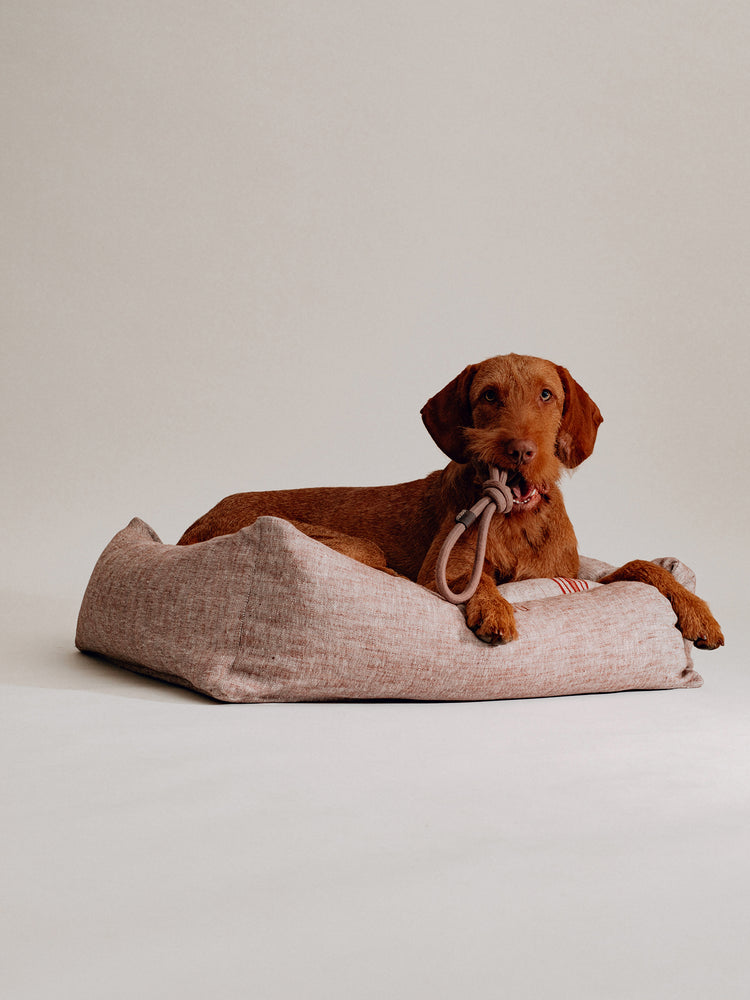 Pintu Dulce Suenos Bed - Chocolate