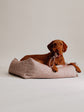 Pintu Dulce Suenos Bed - Chocolate