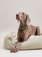Pintu Dulce Suenos Bed - Pistachio
