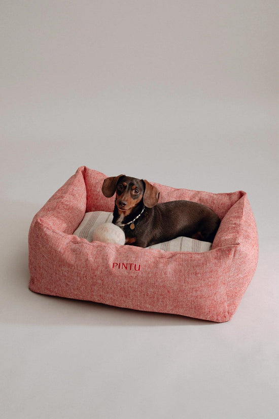 Dulces Sueños Dog Bed - Berry - Pintu