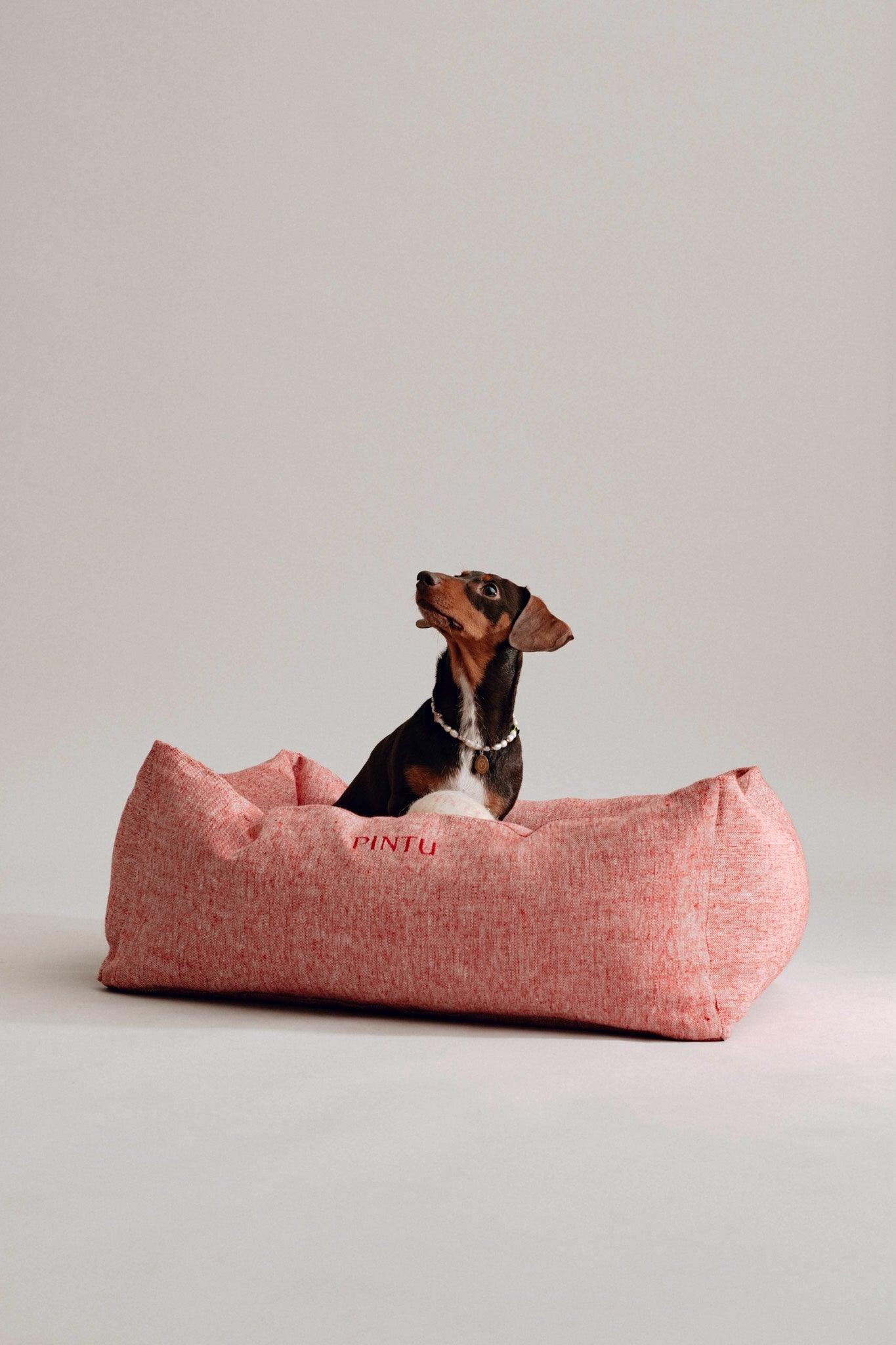 Dulces Sueños Dog Bed - Berry - Pintu