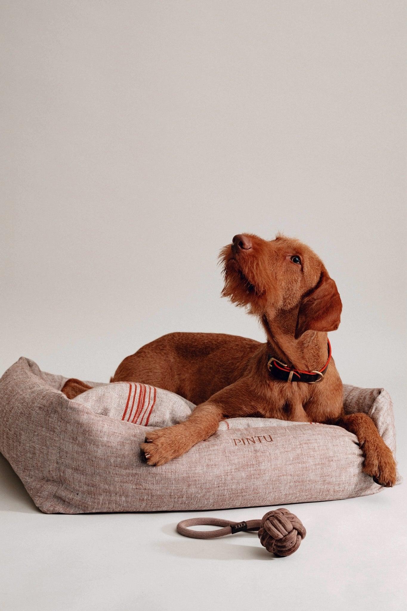 Dulces Sueños Dog Bed - Chocolate/Orange Stripes - Pintu