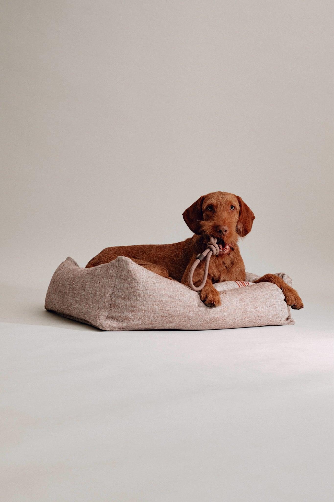 Dulces Sueños Dog Bed - Chocolate - Pintu