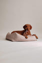 Dulces Sueños Dog Bed - Chocolate - Pintu