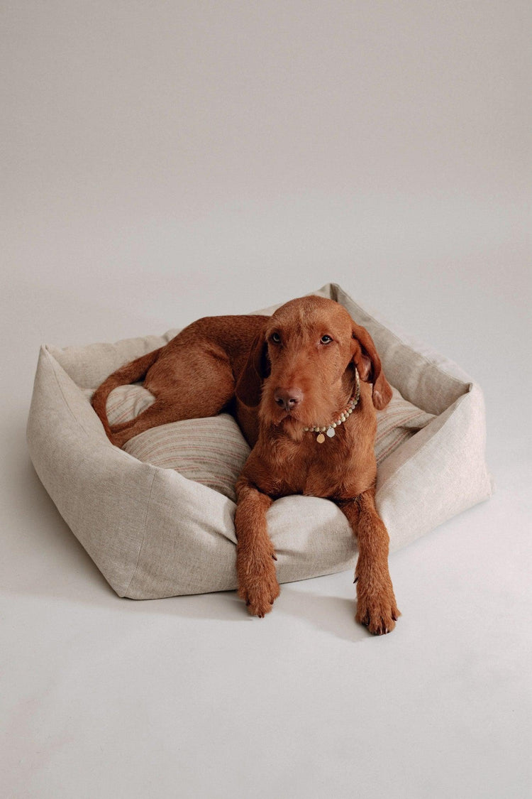 Dulces Sueños Dog Bed - Stone - Pintu