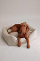 Dulces Sueños Dog Bed - Stone - Pintu