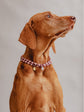 Pintu Large Dog Chains - Berry