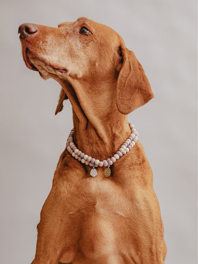 Pintu Large Dog Chains - Hazelnut