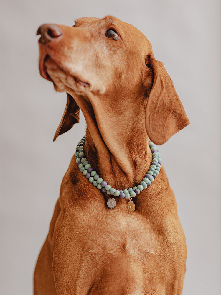 Pintu Large Dog Chains - Misty