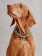 Pintu Large Dog Chains - Misty