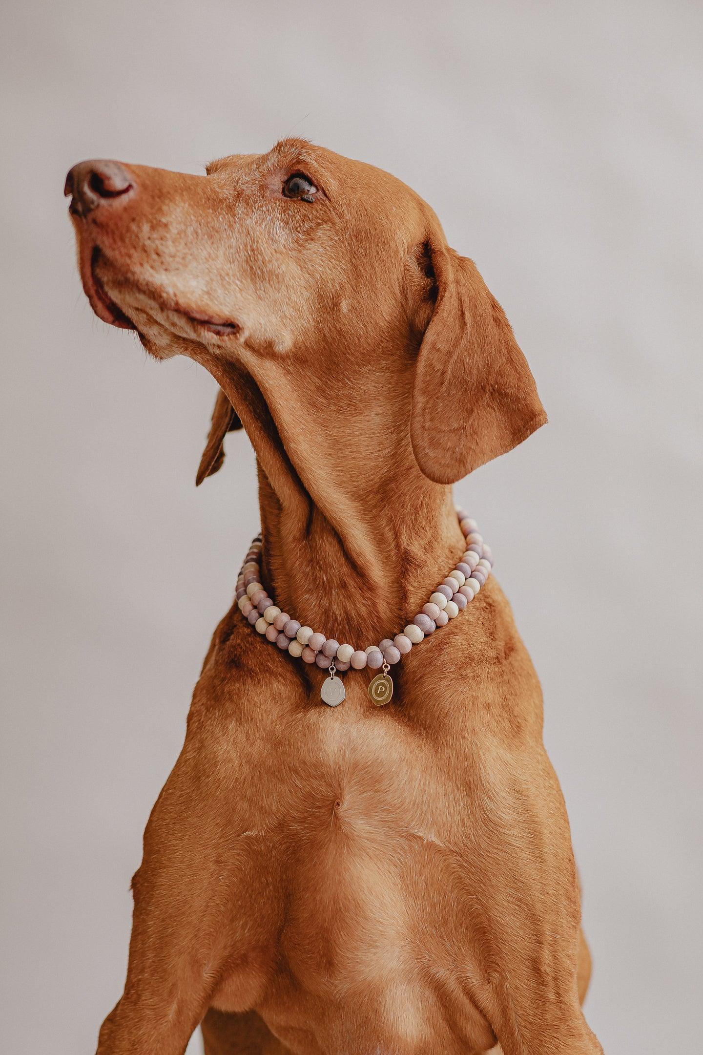 Large Dog Chains - Hazelnut - Pintu