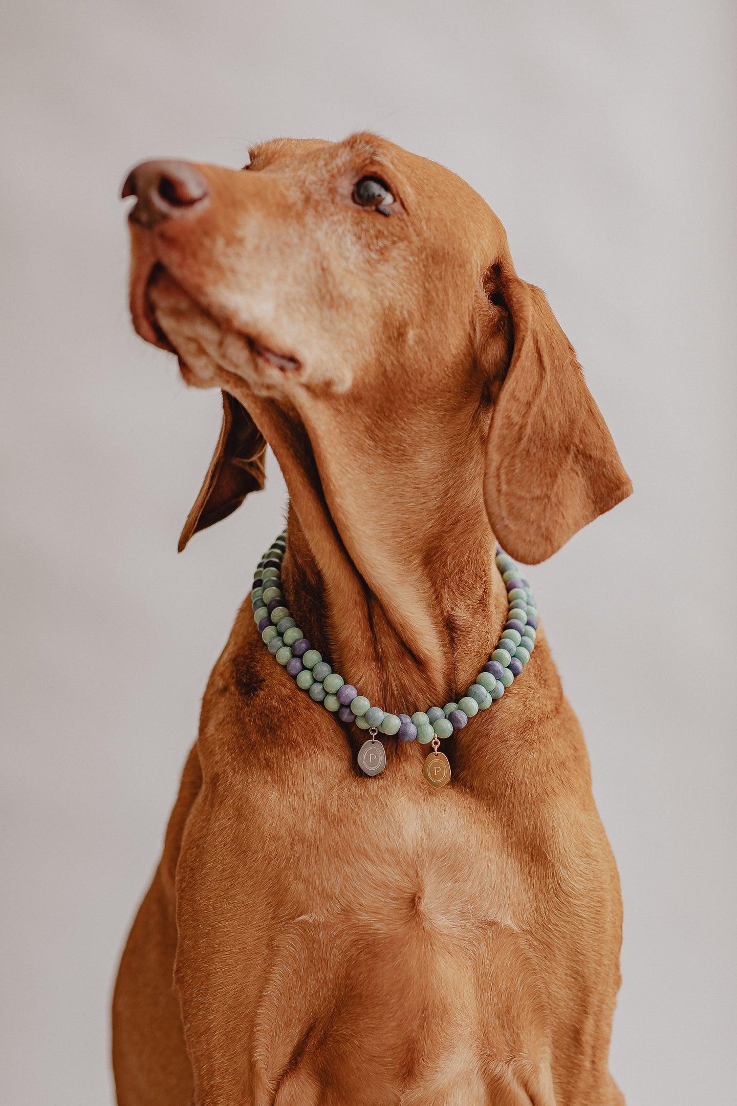 Large Dog Chains - Misty - Pintu