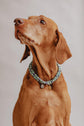 Large Dog Chains - Misty - Pintu