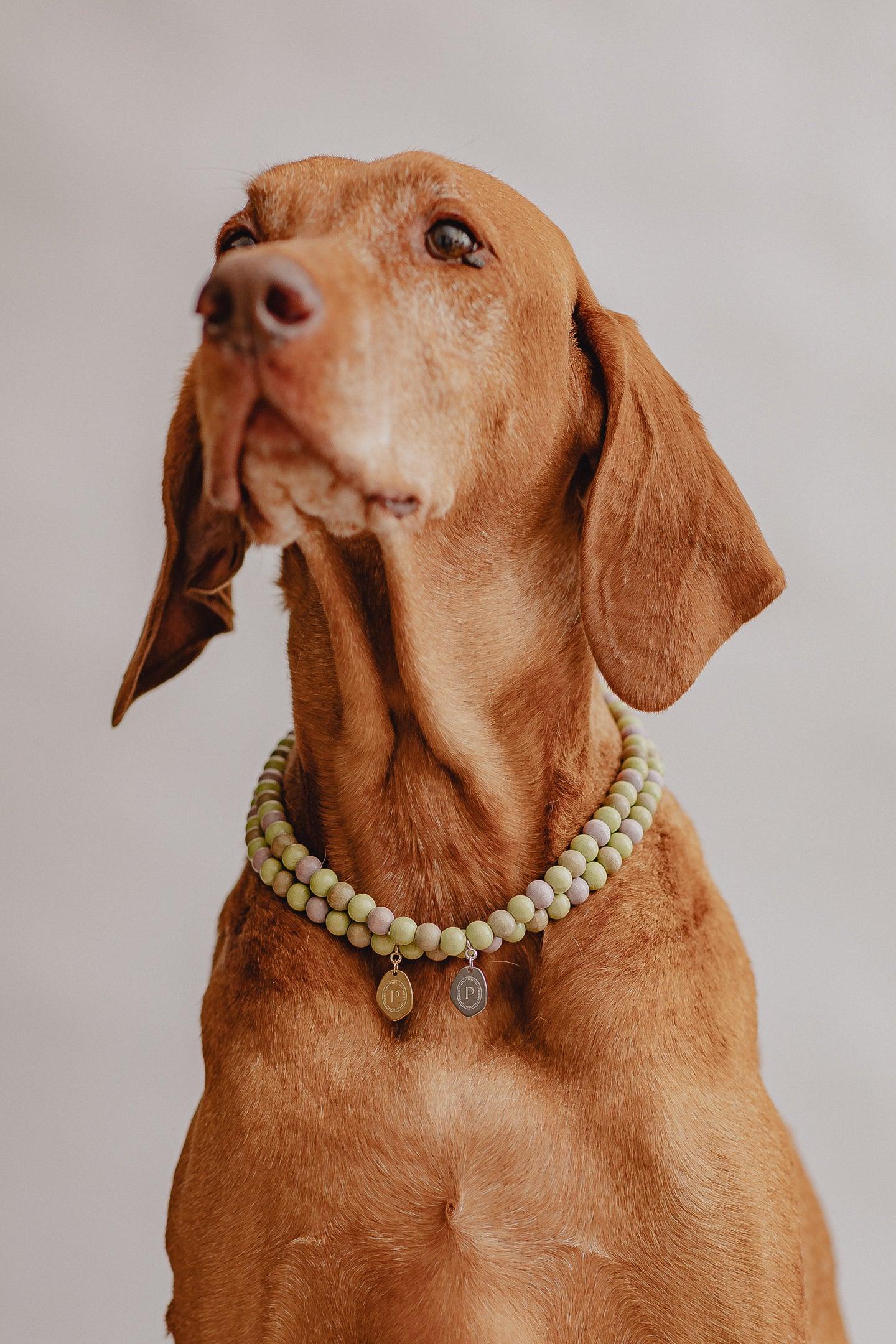 Large Dog Chains - Pistachio - Pintu