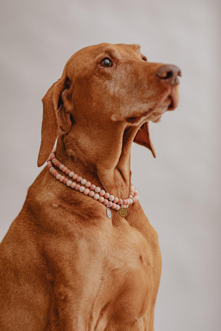 Large Dog Chains - Terracotta - Pintu