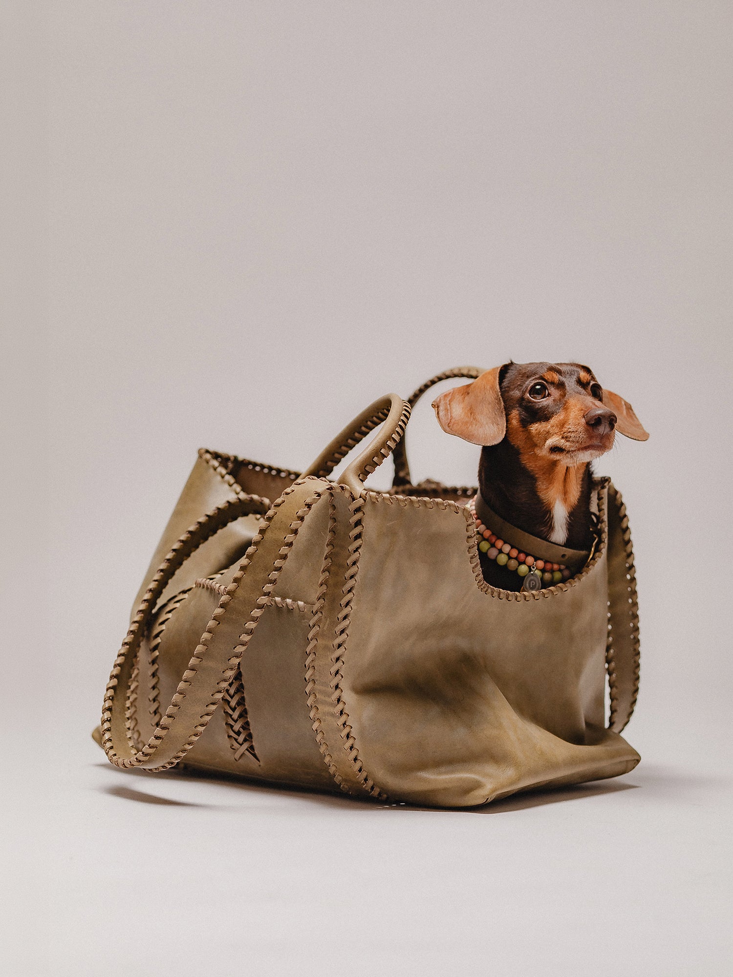 Pintu Solsticio Shopper - Olive