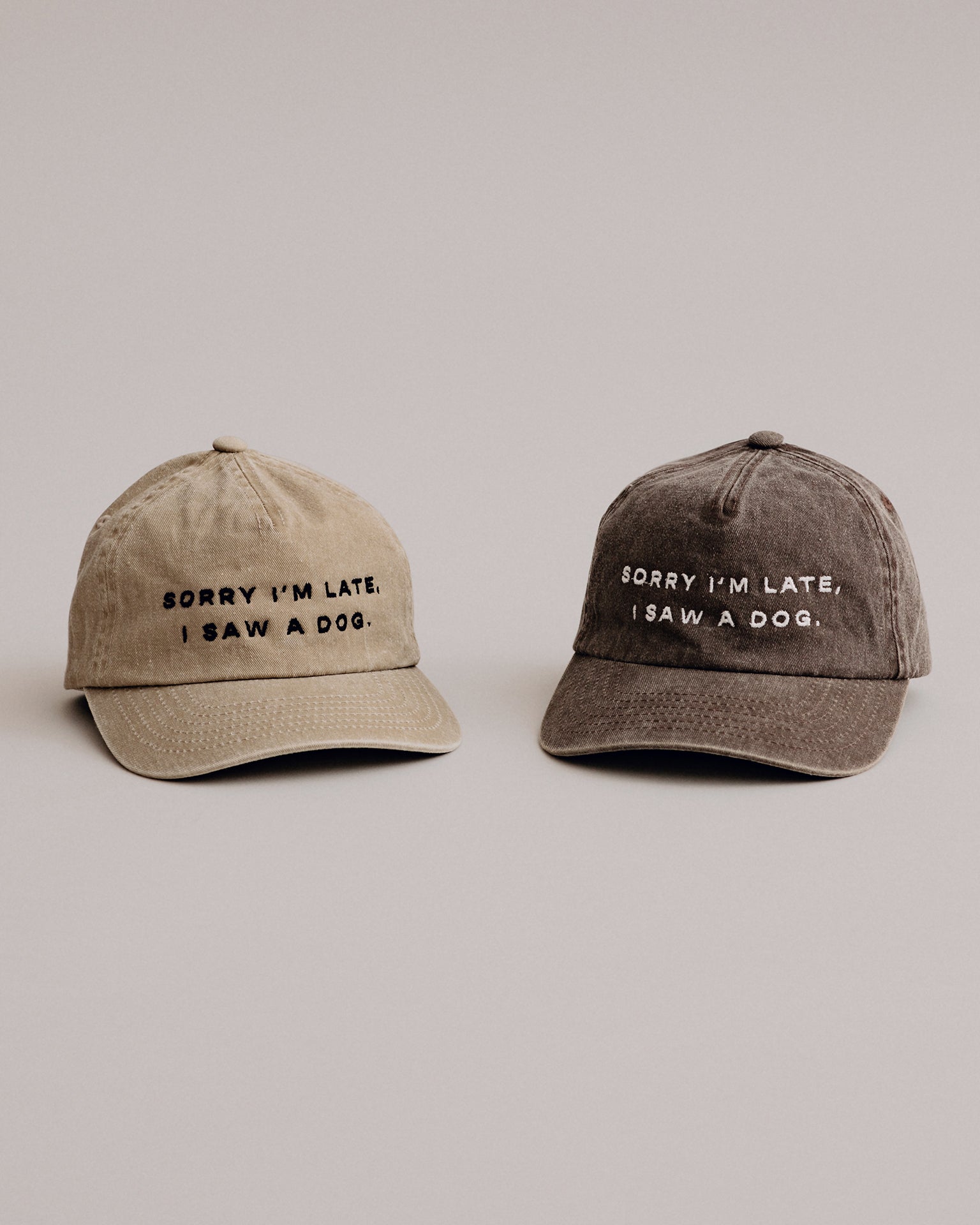 Pintu Sorry I'm Late I Saw A Dog Cap