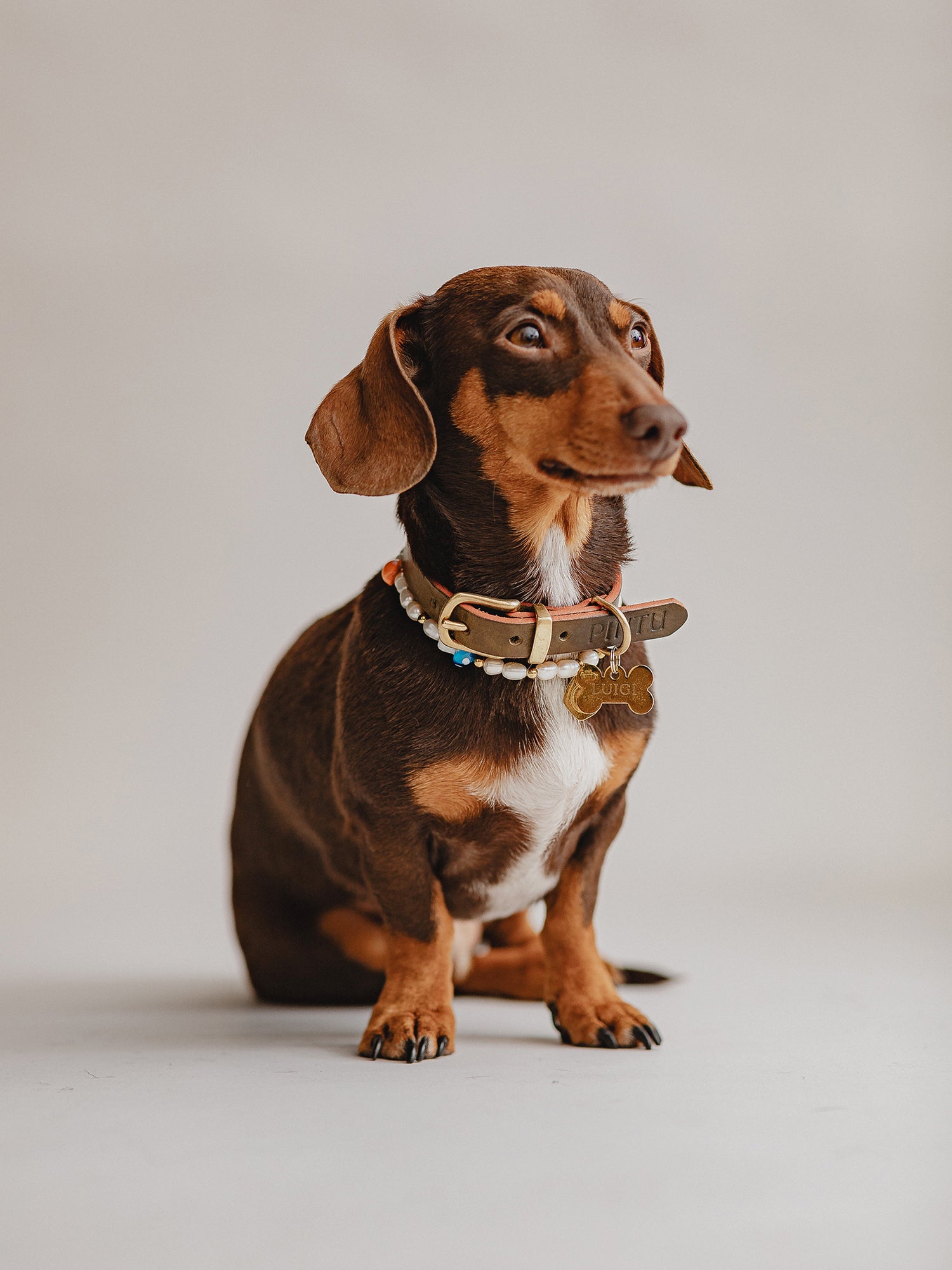 Pintu Studio 54 Dog Chain