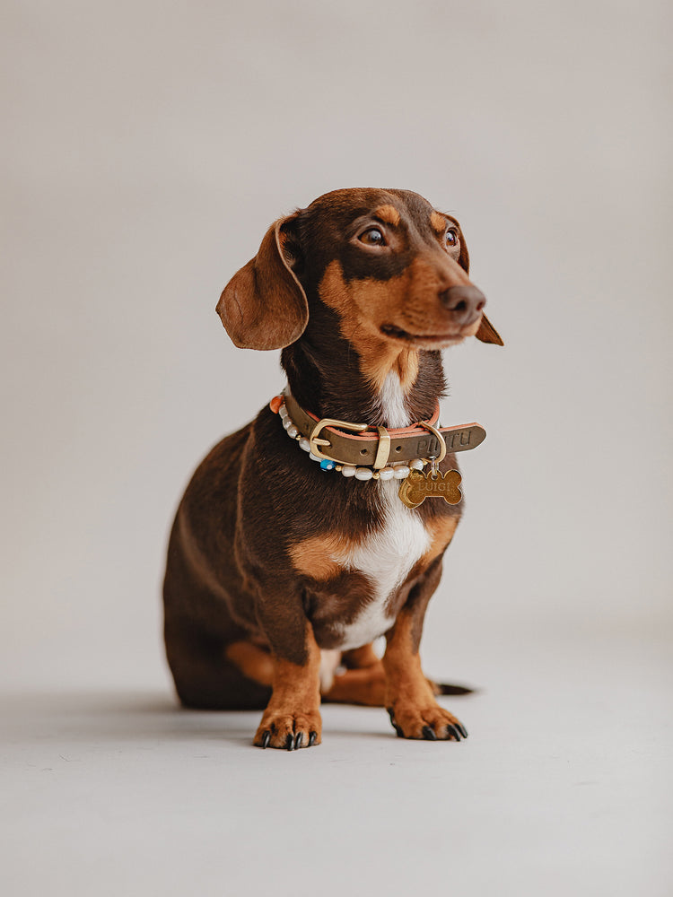 Pintu Studio 54 Dog Chain