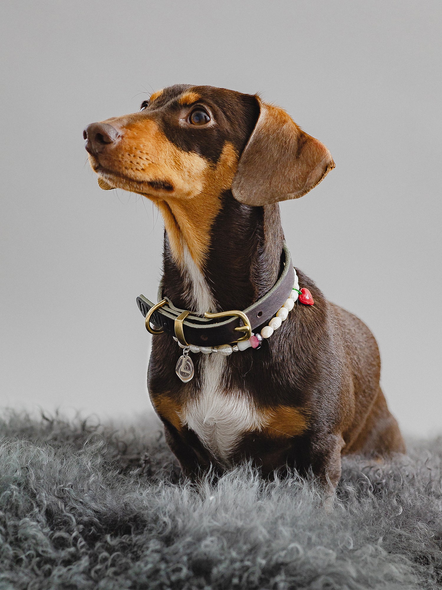 Pintu Studio 54 Dog Chain