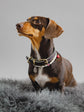 Pintu Studio 54 Dog Chain