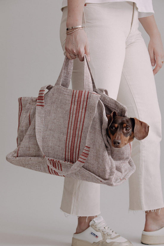 Verano Dog Shopper  - Cannes - Chocolate/Orange - Pintu