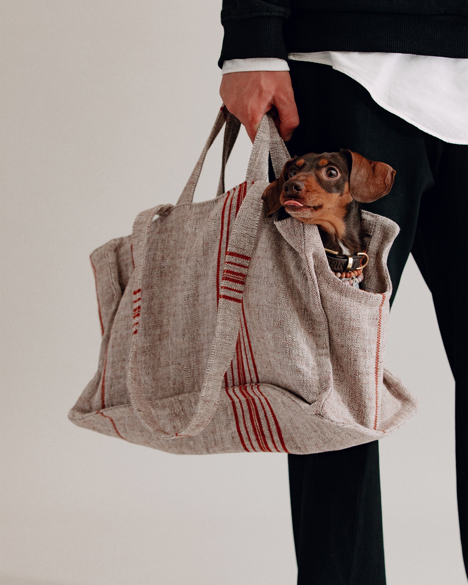 Pintu Verano Dog Shopper - Cannes