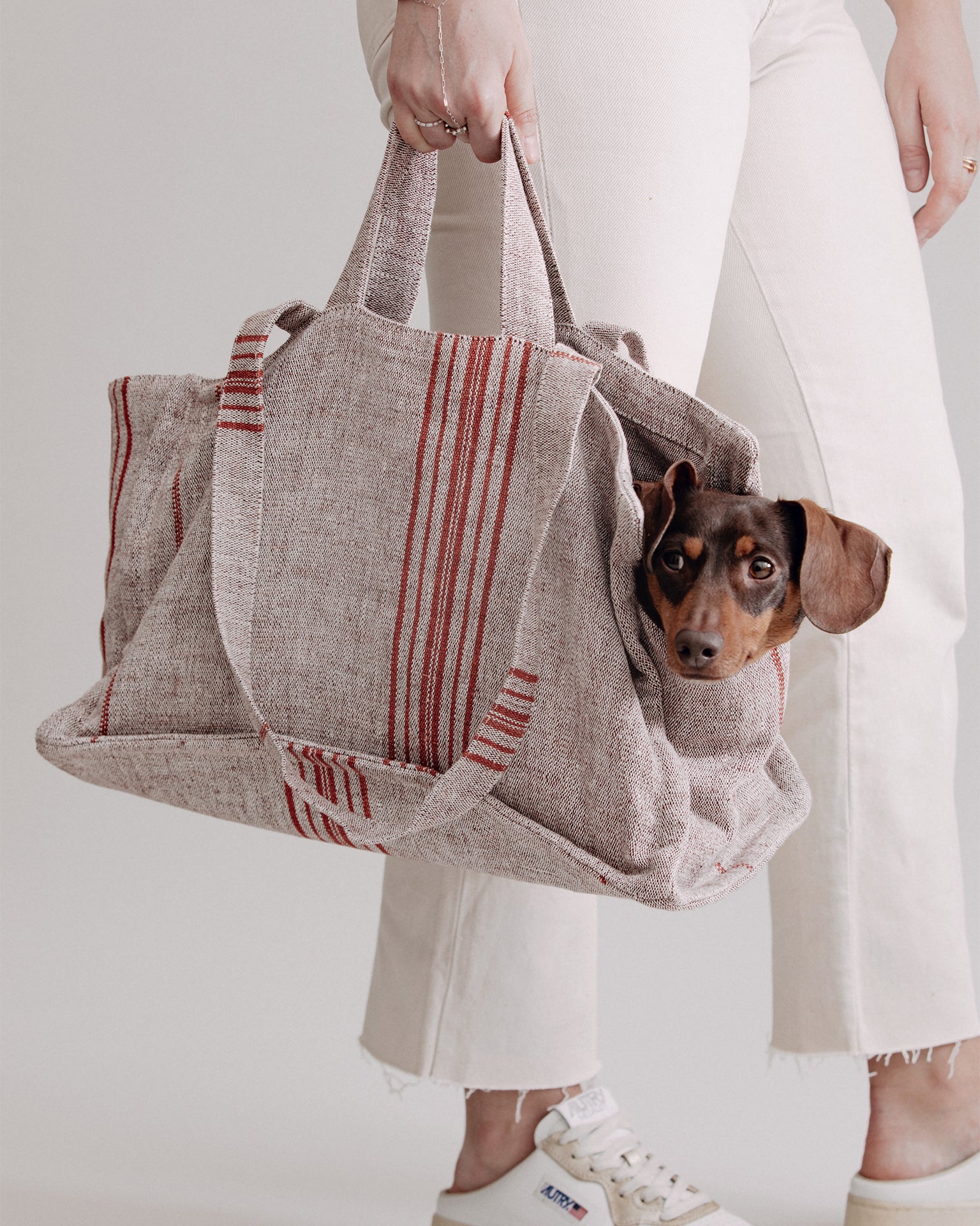Pintu Verano Dog Shopper - Cannes